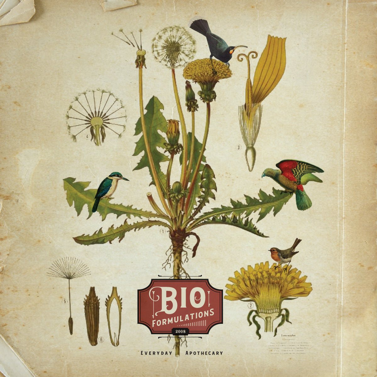 BioFormulations Gift Card